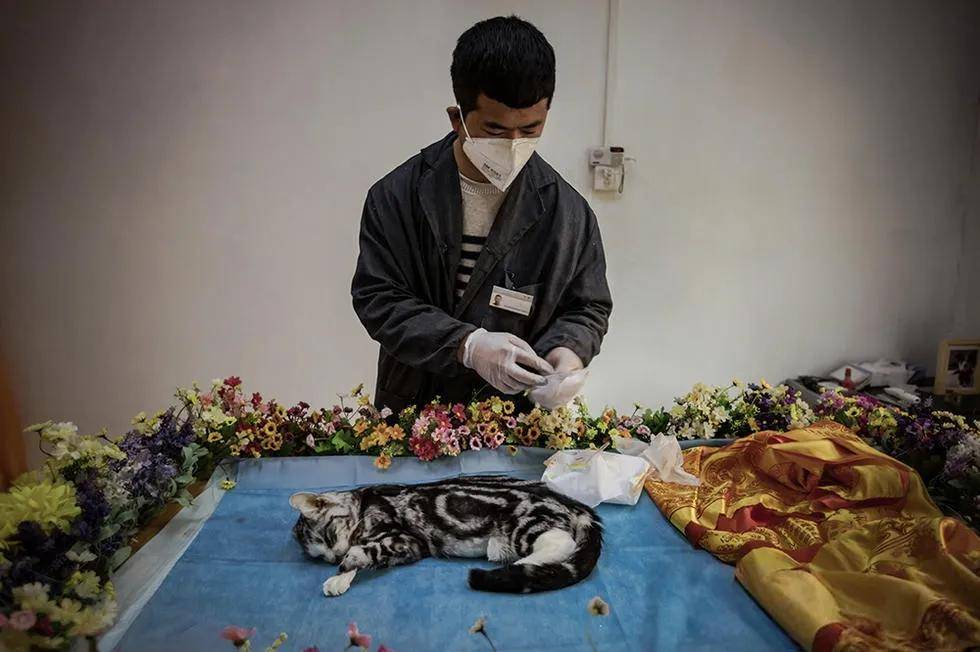 最赚钱的行业再不了解就晚了!新葡京博彩2025最冷门却(图8) 最赚钱的行业再不了解就晚了!新葡京博彩2025最冷门却(图8)